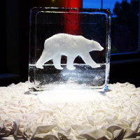 polar-bear-2-d_0.png