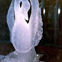swan.jpg