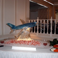 wedding-787-plane.jpg